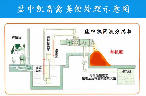 香蕉视频完整版